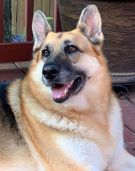 Lexi