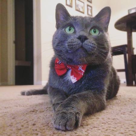 Jax