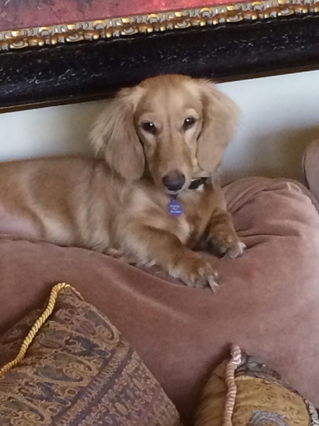 Maggie 
