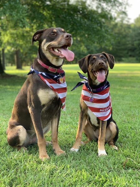 Entry image for Arya and Shae. Clicking this image will show a larger photo