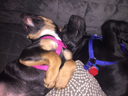Foster and Finley