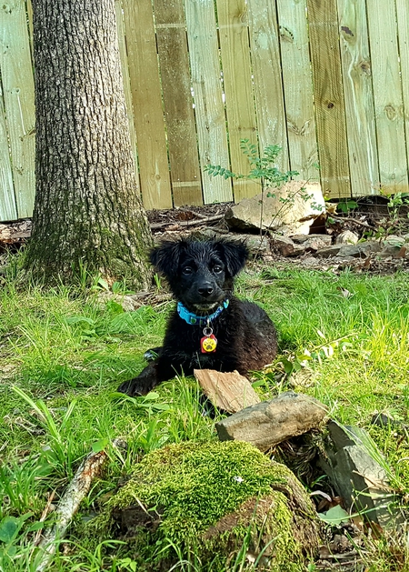 Miss Daisy Hawkins 
