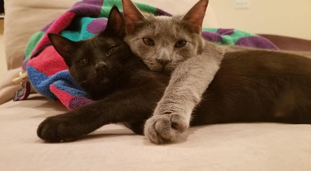 Pepper and Stormy