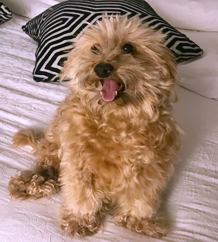 Peanut