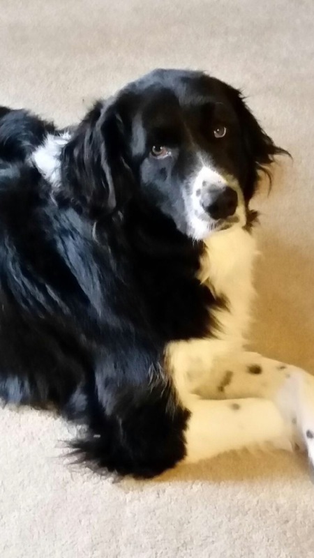 Buster Brown