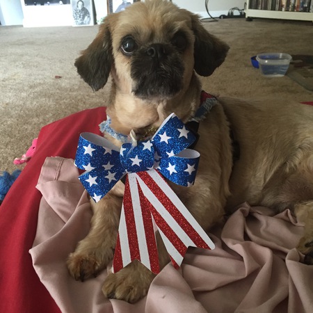Chester
