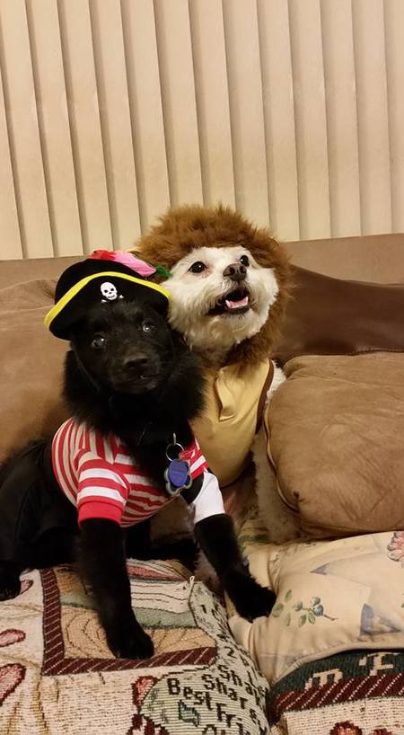 Cotton and Little Man