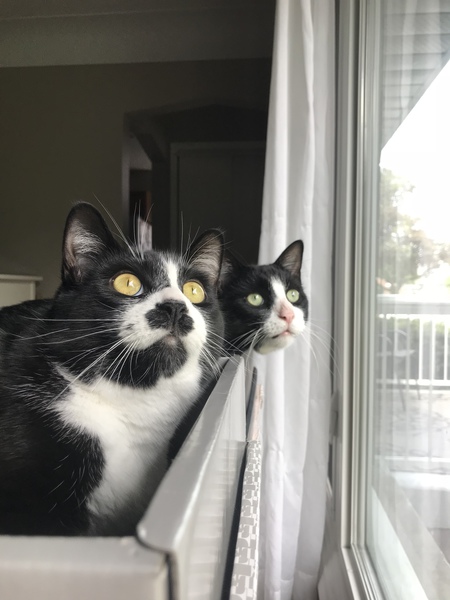 Flash & Chance