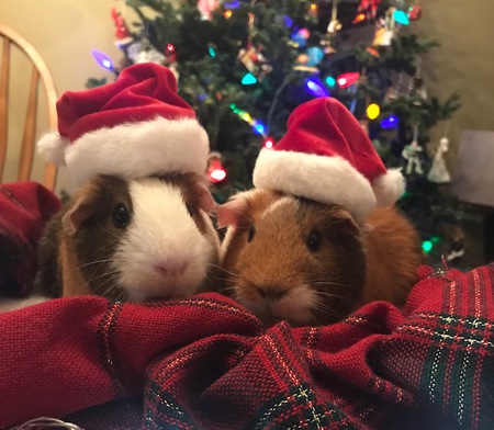 Lucy & Ethel