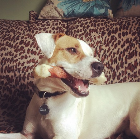 Duke