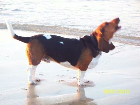 Roscoe