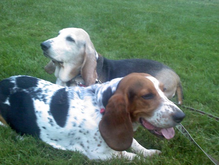 Roxie & Fred