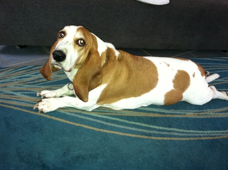 Rusty