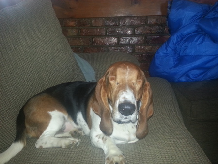 Buster