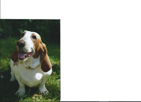 Ruby