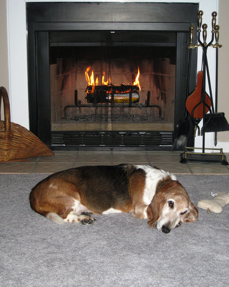 Penny