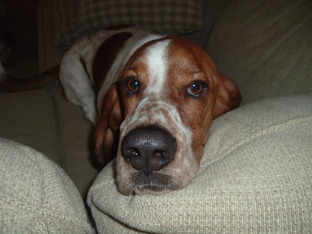 Delbert