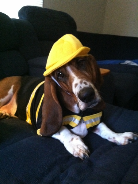 Dozer
