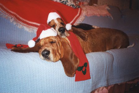 Baxter and Winston