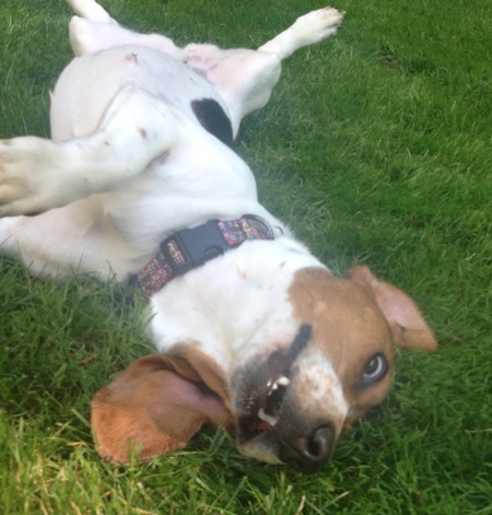 Mollie