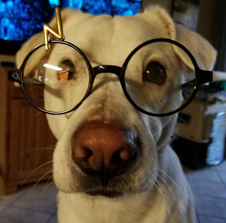 RADAR