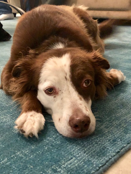 Murphy