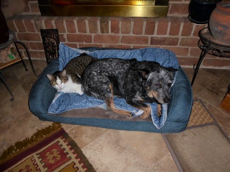 Lucky (left)