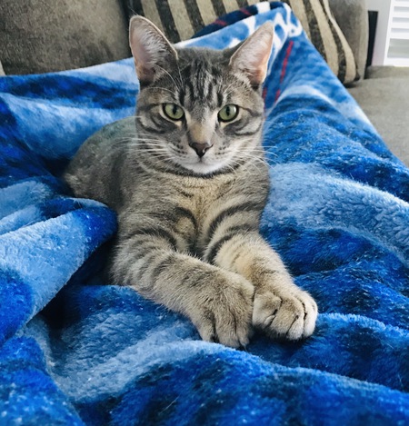 Prince