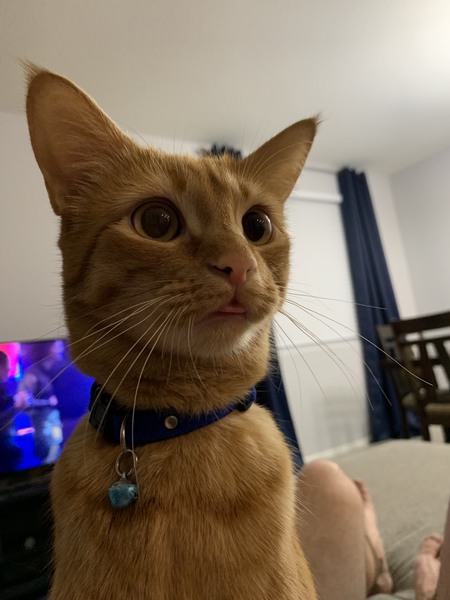 Weasley