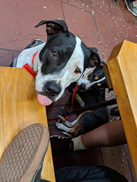 Dempsey and Joey
