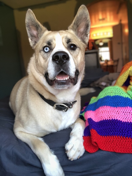 Huck