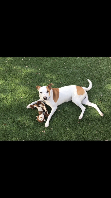 Murphy