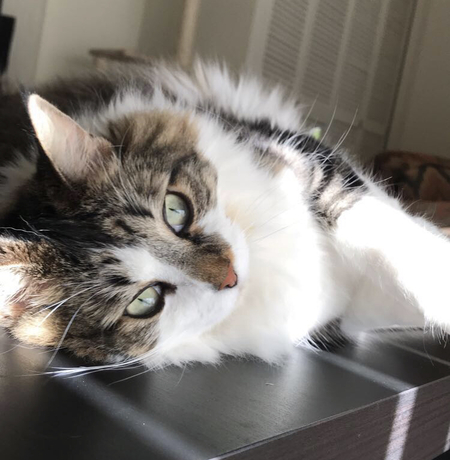 Matilda