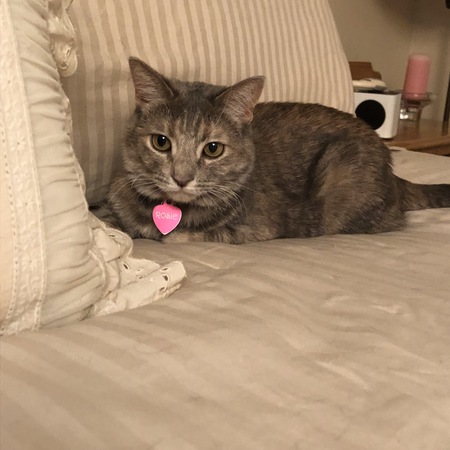 Rosie
