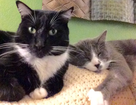 Smokey and Bandit