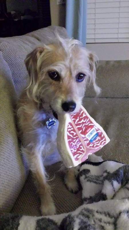 Charlie