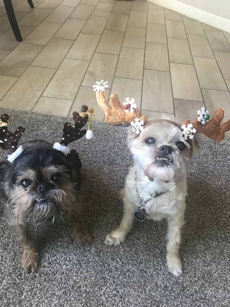 Jack & Sarge