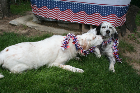 Amstel and Duke Zimmerman