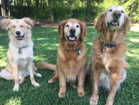 Clair, Maggie, and Willie Nelson