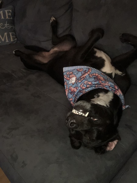 Zoe
