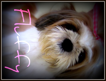 Fluffy