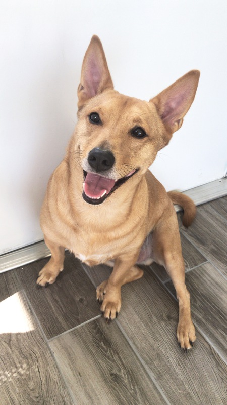 Max
