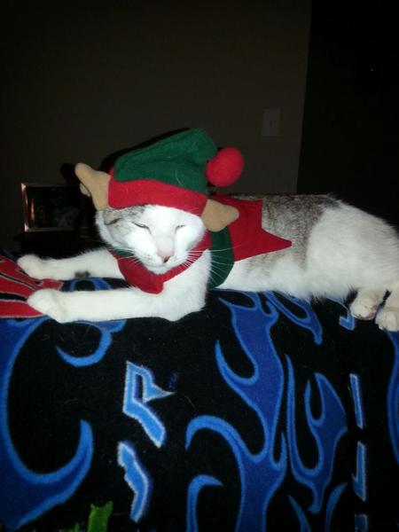 Kovu