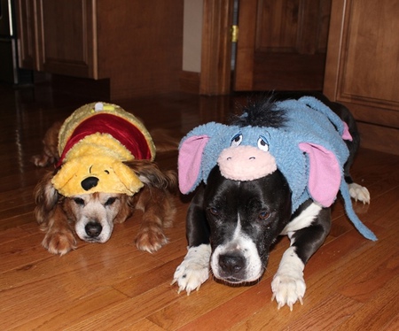 Roxie and Zulu