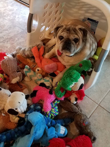 Tonka