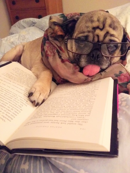 Pugsley