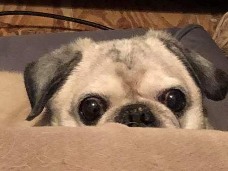 Mighty Maxx