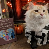 Entry image for Samson