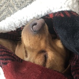 Entry image for Mikey