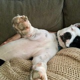 Entry image for Crash